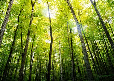 ENT193.01 Sustainability and Entrepreneurship